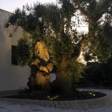 Al Vecchio Ulivo Villa Fasano Buitenkant foto